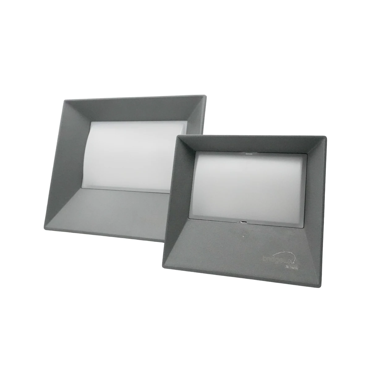 Luceva Lighting FL-901 LED Floodlight